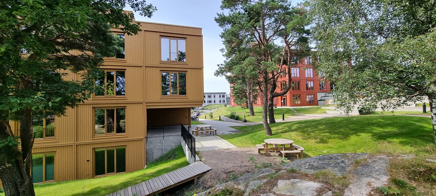 Gult bygg i forgrunnen, rødt bygg bak noen løvtrær på tunet mellom byggene. Grønn plen og benker. Foto. 