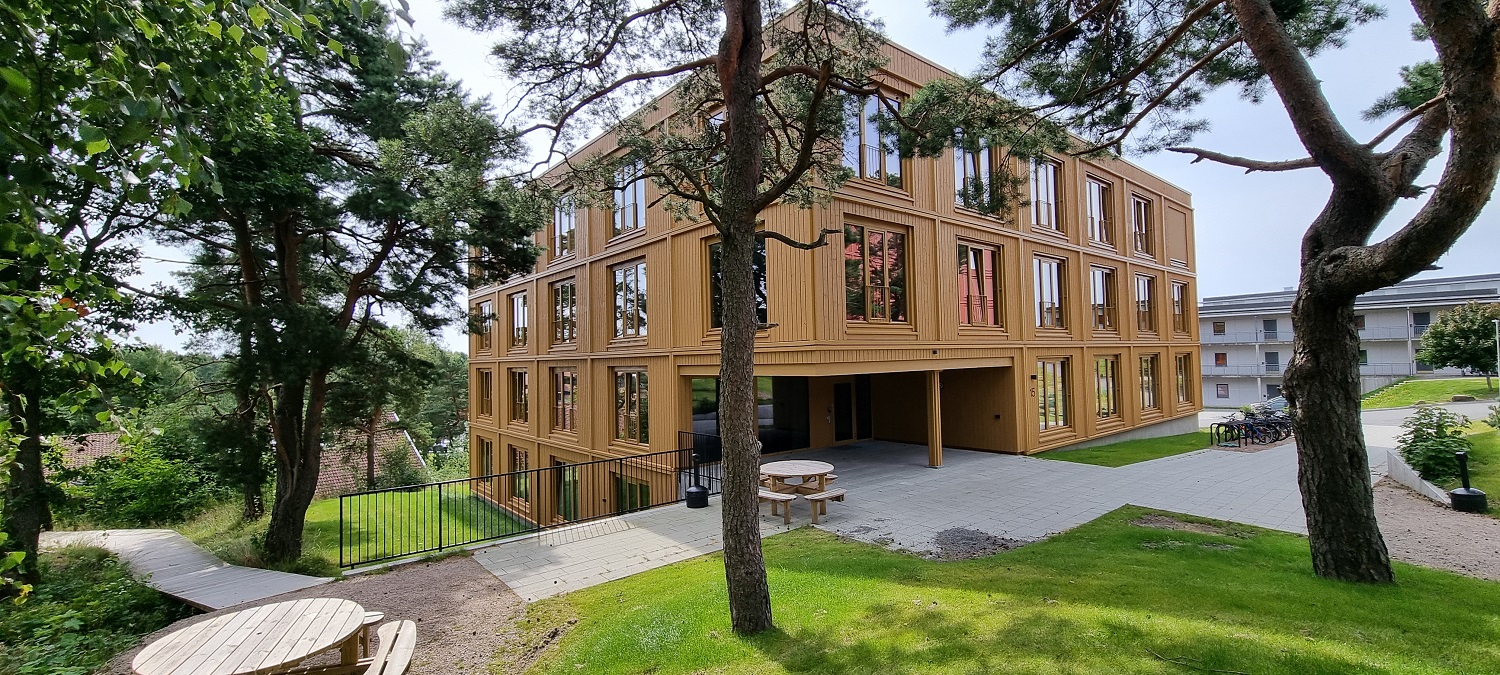 Gult hybelbygg sett fra tunet. Grønt gress, sittebenker og noen trær i forgrunnen. Foto. 