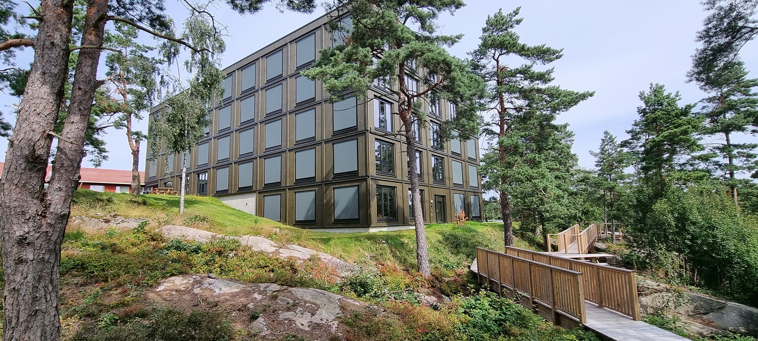 Brunt bygg, bilde tatt nedenfra liten skråning med lyng, bær og en sti mellom trærne. Foto. 