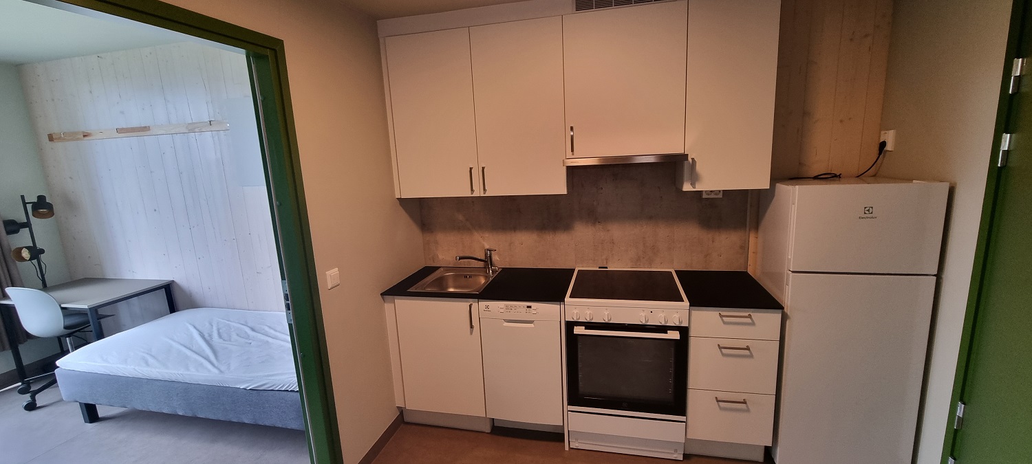 Hvitt kjøkken med sort benkplate og høye overskap. Stekeovn med komfyr og kjøleskap med liten fryser øverst. Det ene soverommet med seng og kontorpult til venstre. Grønn kontrastfarge på dører og karmer. Foto. 