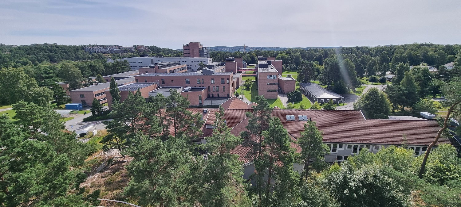 Utsikt over UiA fra fellesrom i femte etasje. Grønne trær omkranser campusområdet. Foto. 