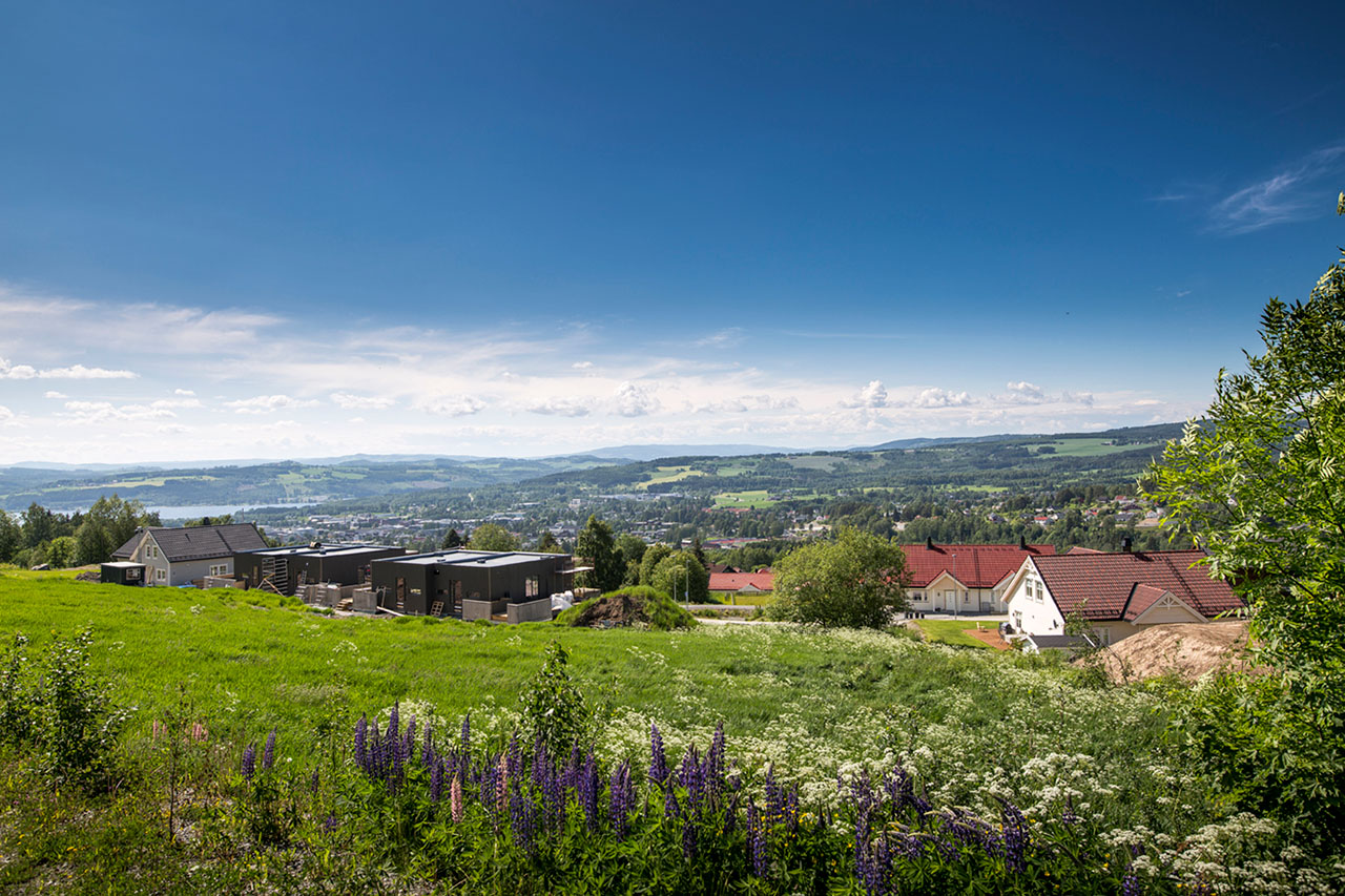 Landskap med grønne enger og boligbebyggelse. Foto. 